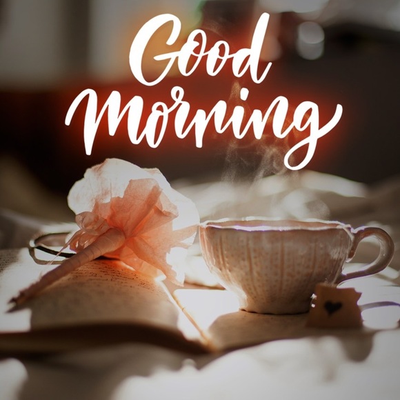 Make reasonable offer - Picture 5 of 15